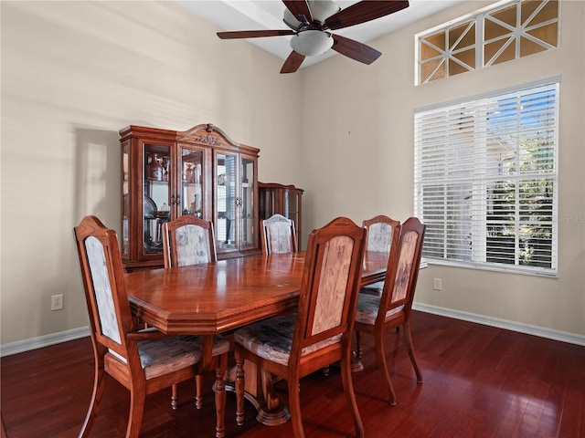 dining room featuring ceiling fan and dark wood-type flooring