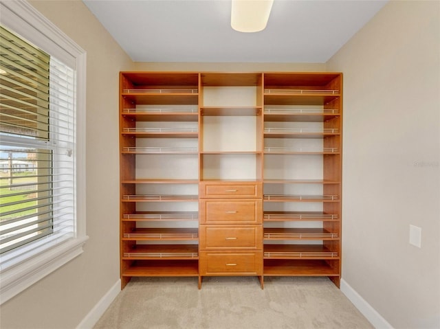 view of closet