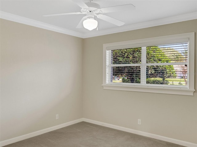 carpeted empty room with ceiling fan, a healthy amount of sunlight, and ornamental molding