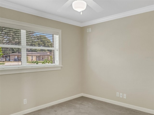 carpeted empty room with ceiling fan and ornamental molding