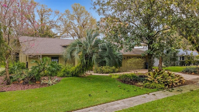 view of front facade with a front lawn and stucco siding