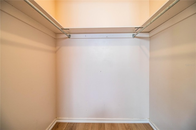 spacious closet featuring light wood-style floors