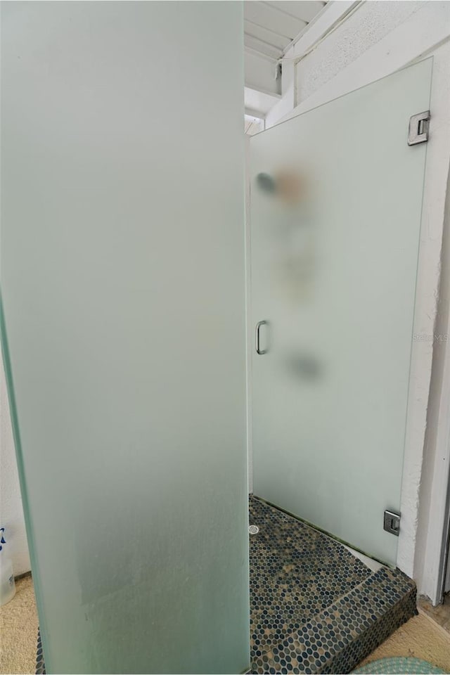 bathroom with a stall shower