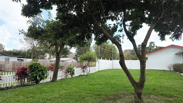 view of yard with a fenced backyard