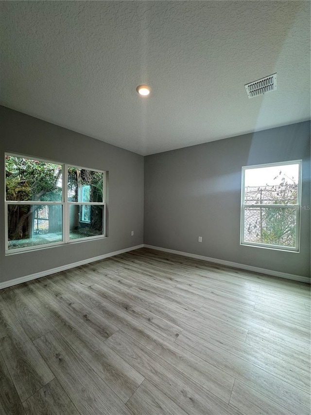 empty room with a textured ceiling, light wood-type flooring, and plenty of natural light