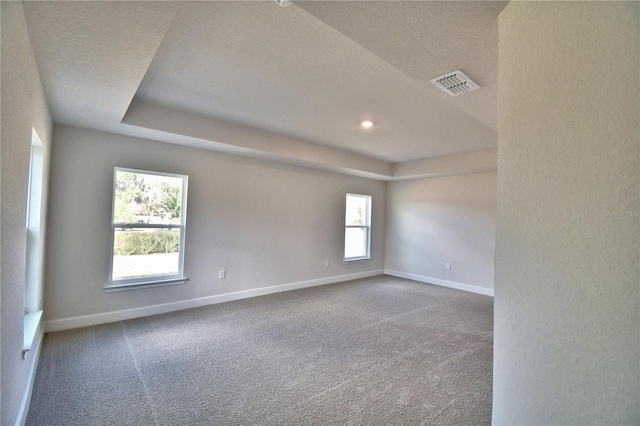 spare room featuring a textured ceiling, a healthy amount of sunlight, and carpet flooring