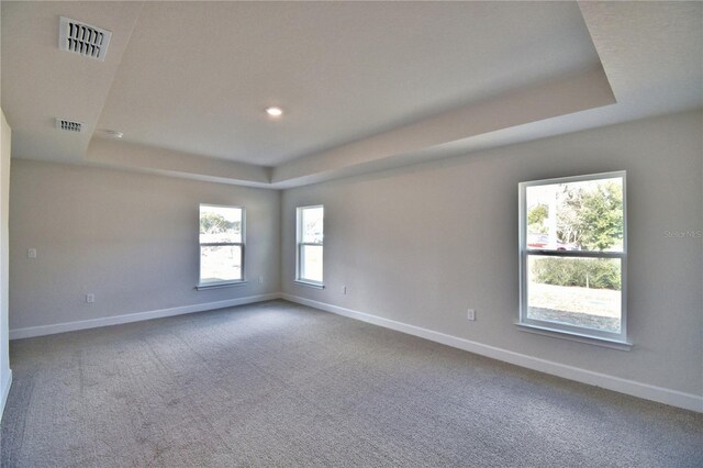 unfurnished room with a tray ceiling and carpet flooring