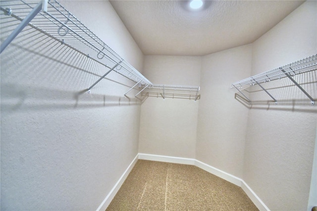 spacious closet featuring carpet flooring