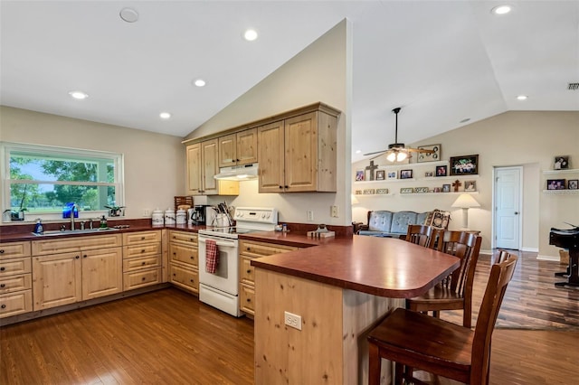 kitchen with lofted ceiling, dark wood-type flooring, electric stove, ceiling fan, and kitchen peninsula