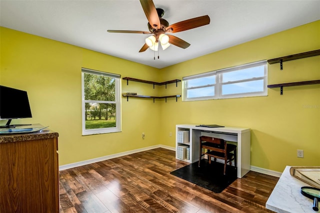 home office featuring ceiling fan and dark hardwood / wood-style flooring