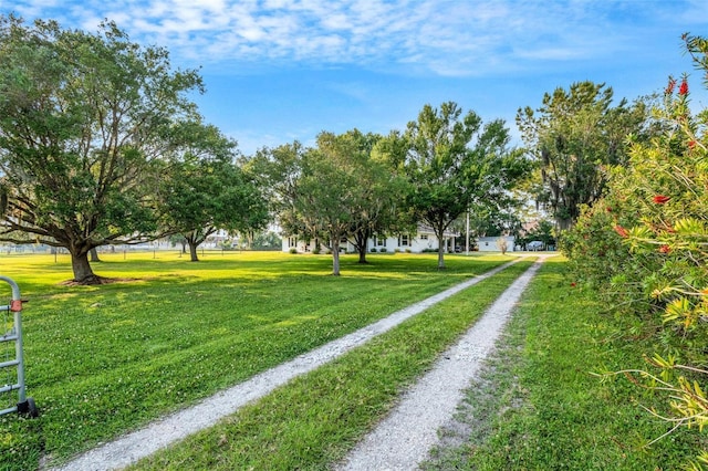 surrounding community featuring a lawn