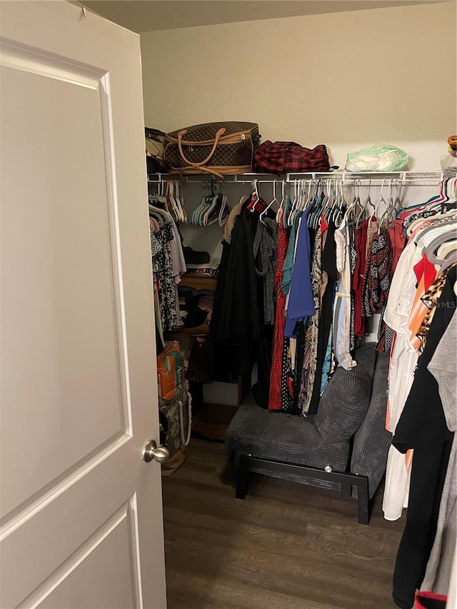 spacious closet featuring hardwood / wood-style flooring