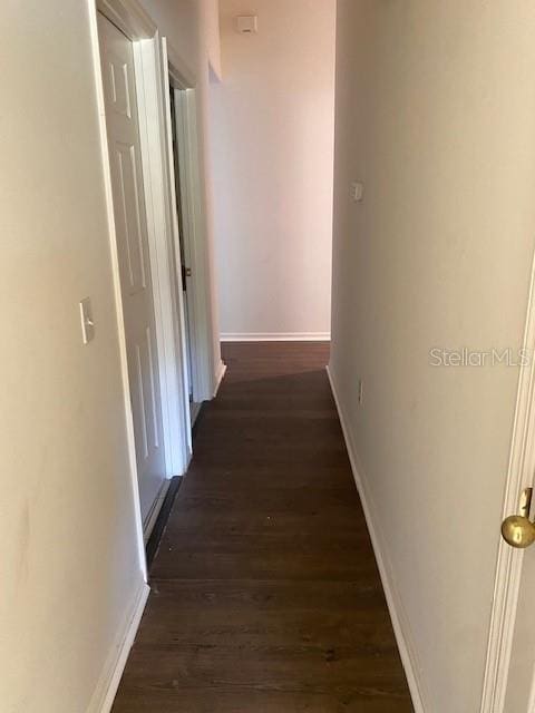 corridor featuring dark wood-type flooring