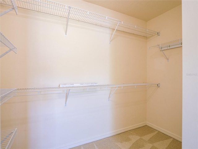 spacious closet with carpet flooring