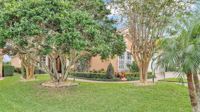 view of front of home with a front lawn