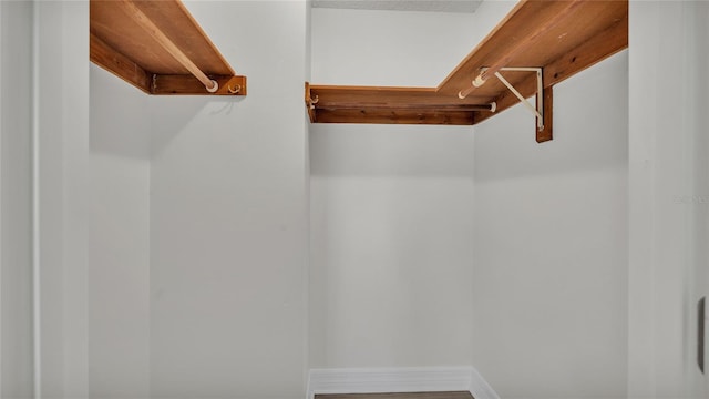 walk in closet featuring hardwood / wood-style floors