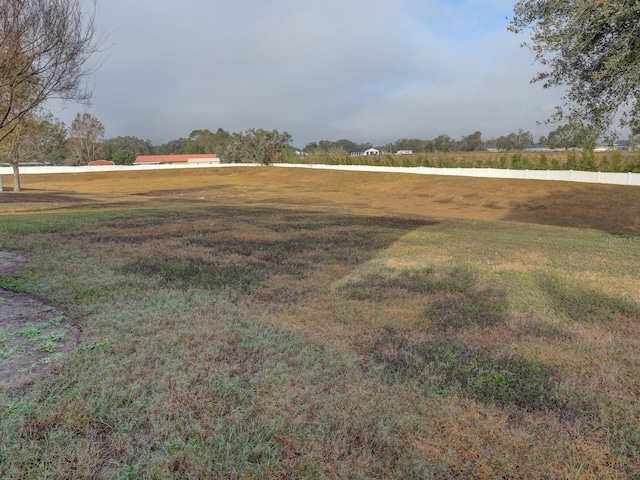 1918 Wind Meadows Dr, Bartow, FL 33830 - view of yard
