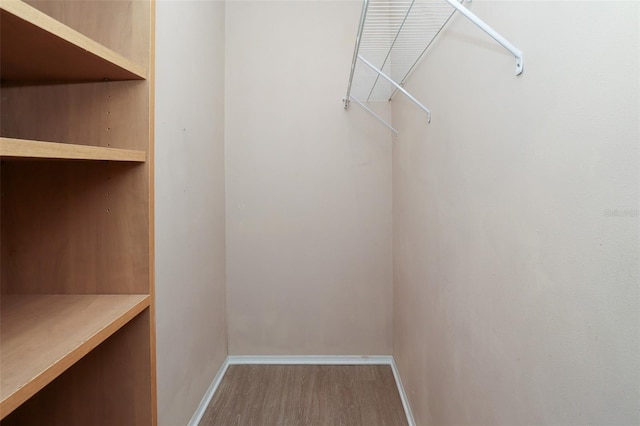 spacious closet featuring wood-type flooring