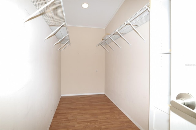 spacious closet featuring hardwood / wood-style flooring