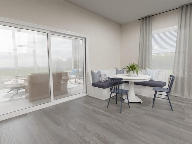 dining room featuring a wealth of natural light and wood-type flooring