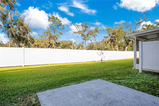 view of yard with a patio area