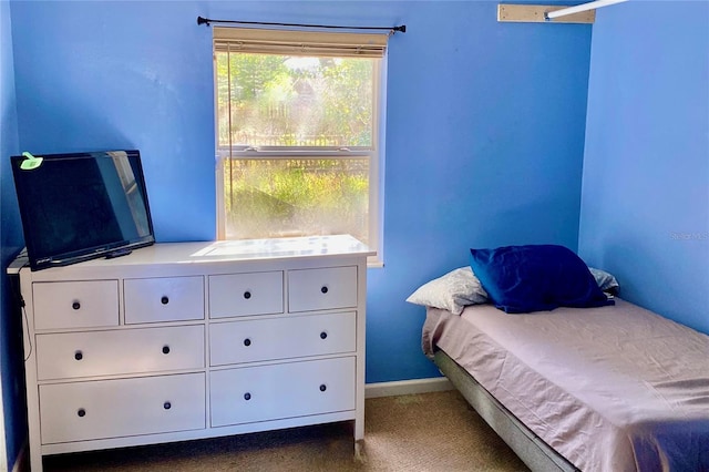 bedroom with carpet