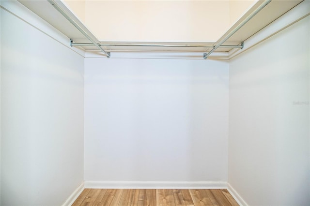 spacious closet featuring hardwood / wood-style floors