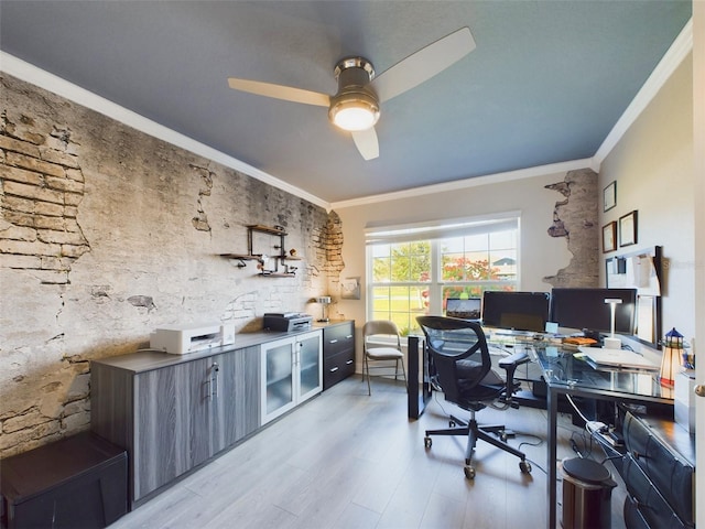 office featuring crown molding, ceiling fan, and light hardwood / wood-style flooring