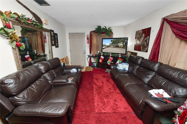 living room with a textured ceiling