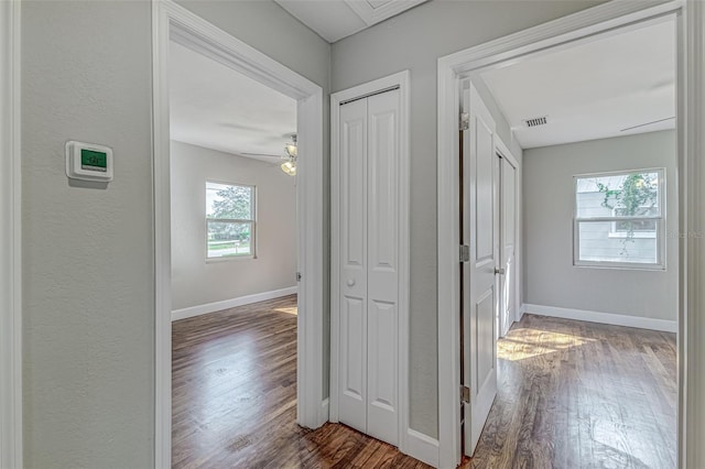 hall featuring dark hardwood / wood-style flooring and a healthy amount of sunlight