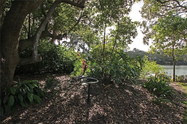 view of yard featuring a water view