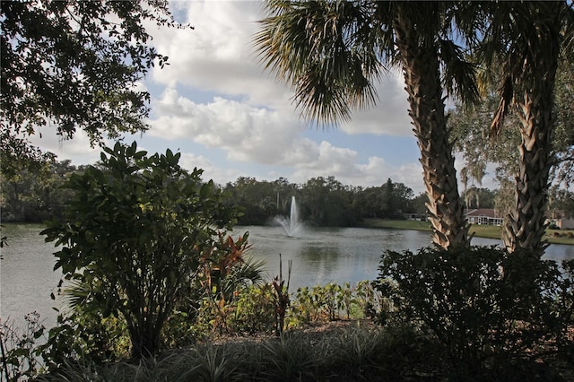 view of water feature