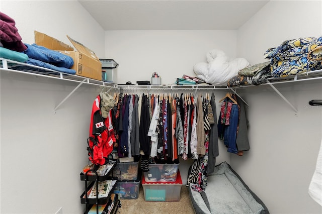 spacious closet with carpet