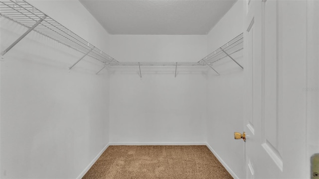 walk in closet with light carpet