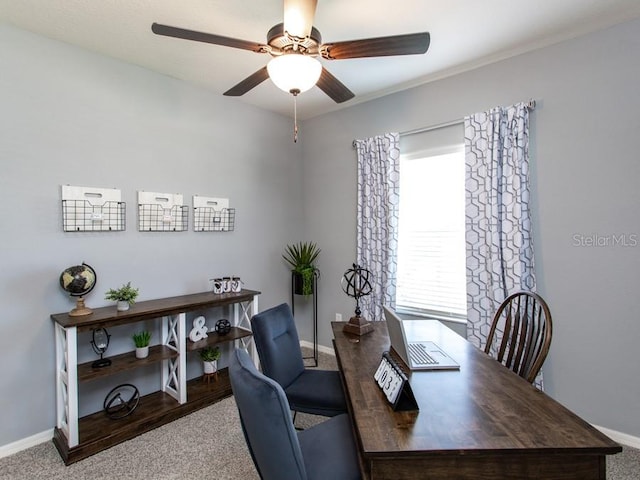 office space featuring ceiling fan and carpet floors