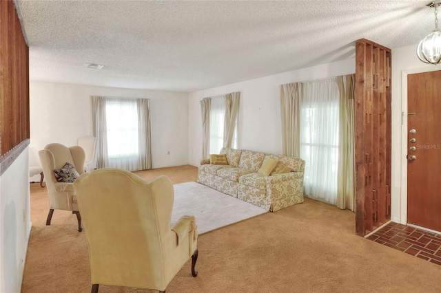 living room featuring carpet floors and a textured ceiling