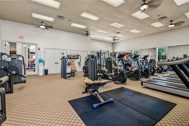 gym with a drop ceiling, carpet floors, ceiling fan, and a high ceiling