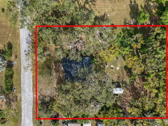 4925 Magnolia Ave, Mulberry, FL 33860 - photo 29