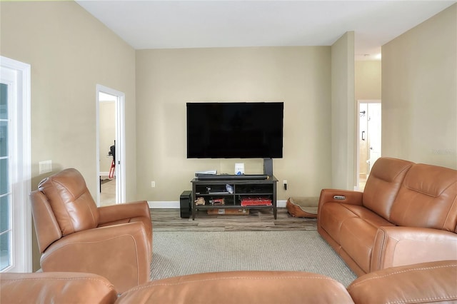 living room featuring hardwood / wood-style flooring