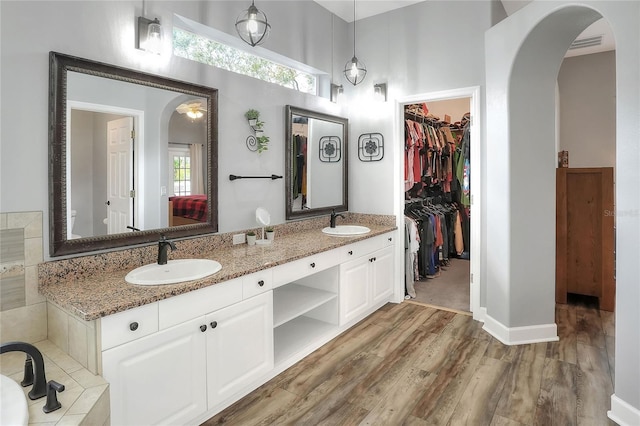 bathroom featuring plenty of natural light, vanity, and hardwood / wood-style floors