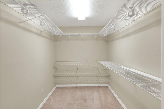 425 E Belmar St, Lakeland, FL 33803 - photo 25