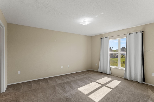 spare room featuring light colored carpet and a textured ceiling