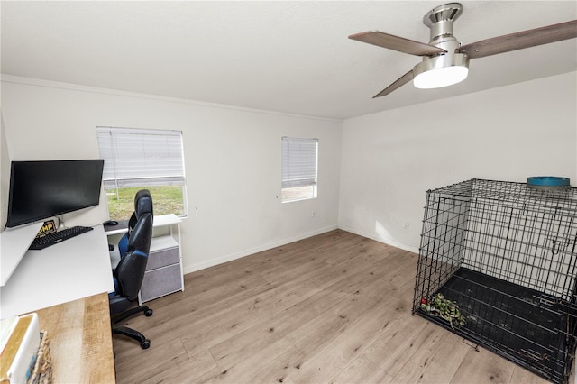 210 Wilder Rd, Lakeland, FL 33809 - office area featuring ceiling fan, ornamental molding, and light hardwood / wood-style flooring