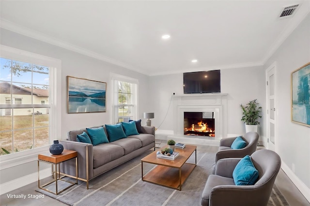 living room featuring crown molding