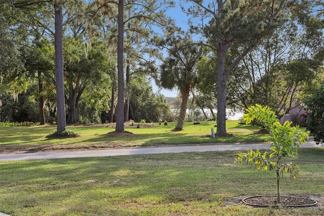 view of property's community with a yard