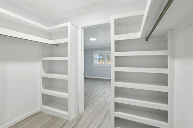 walk in closet featuring light hardwood / wood-style floors