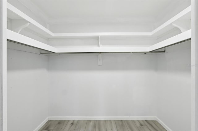 spacious closet featuring hardwood / wood-style floors