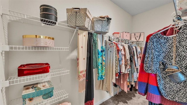 spacious closet featuring carpet floors