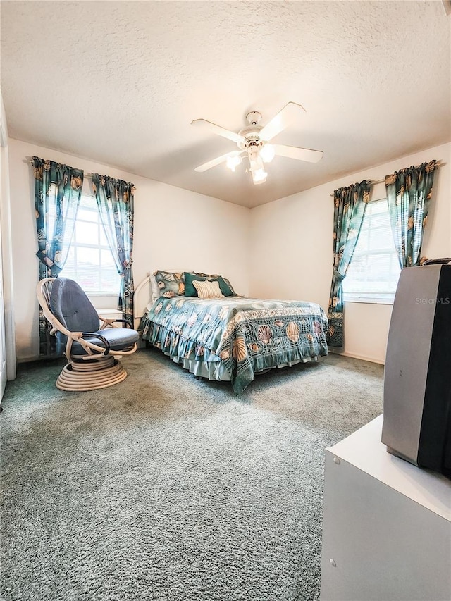 5805 Danterbury Ct, Lakeland, FL 33810 - carpeted bedroom featuring multiple windows, a textured ceiling, and ceiling fan
