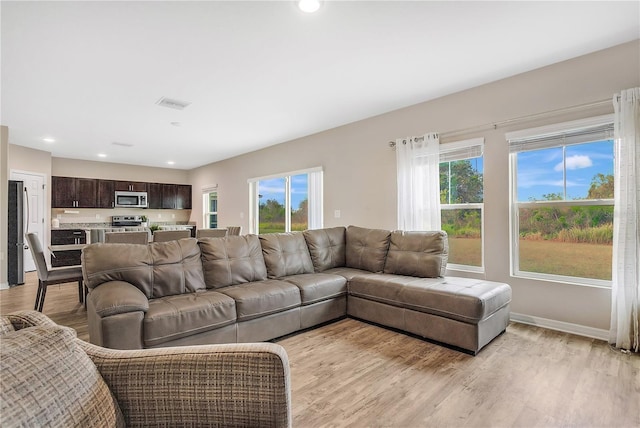 living room with light wood-type flooring